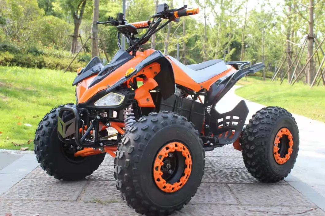 Sport Hunting Outdoors New Shaft Driving 5000W Farm Quad Bike Cruiser Electric ATV