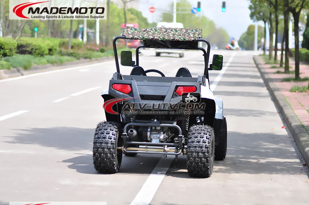 1500W 2000W 3000W 4000W 5000W Shaft Drive Electric UTV