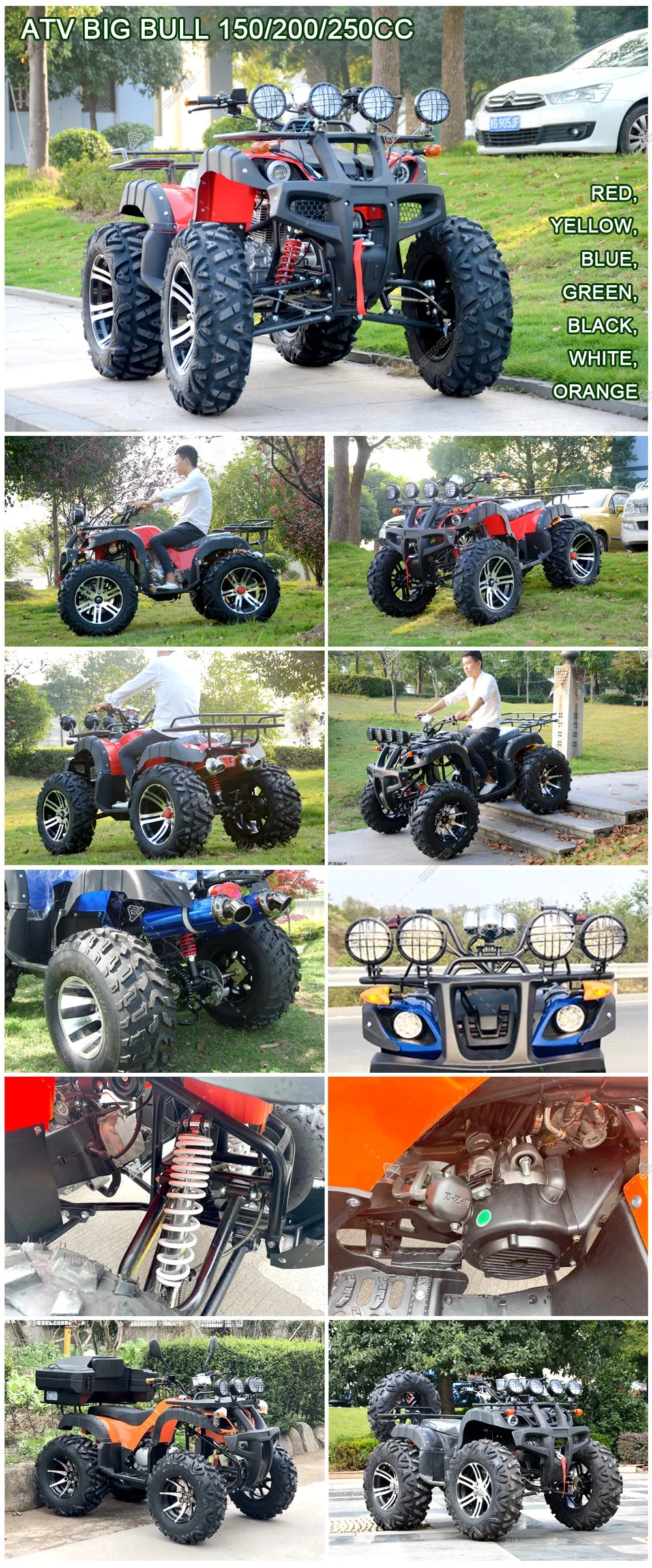 Quad Bike for Adult Popular Atvs with 4 Wheeler ATV 125cc/150cc/200cc/250cc
