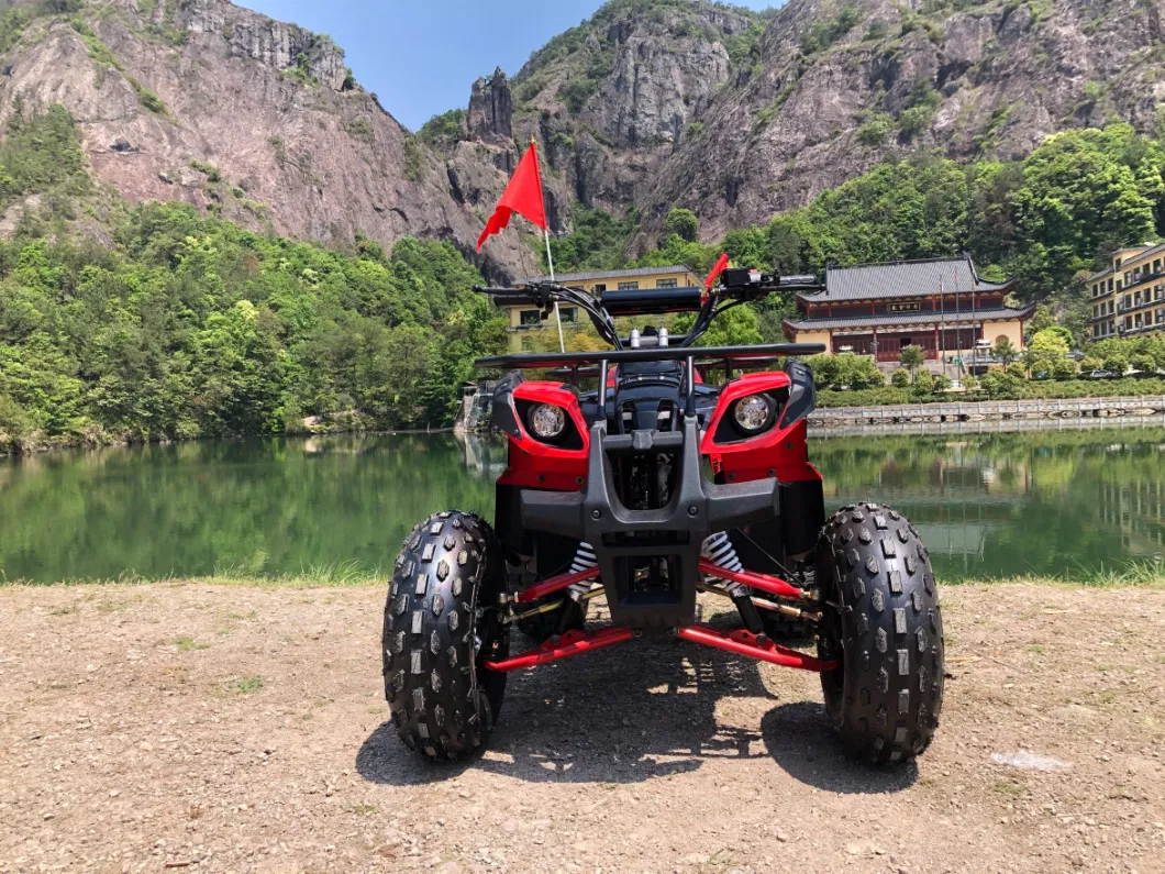 Chinese Professional Gas Powered 125cc Utility ATV Sporty Quad