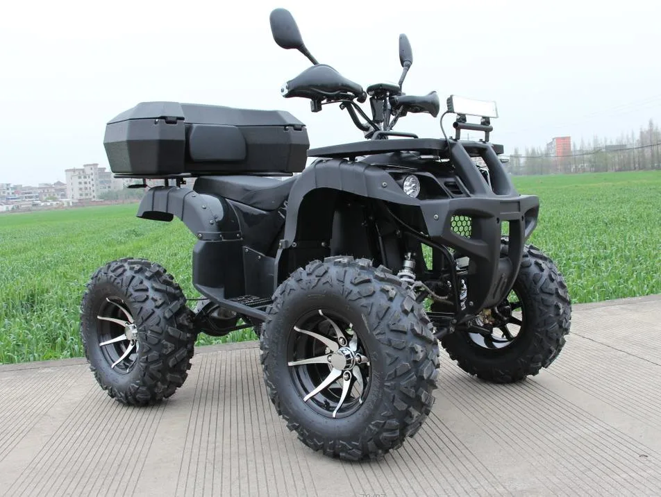 High Power 2WD Electric ATV Adult off-Road ATV Fully Sealed Battery ATV