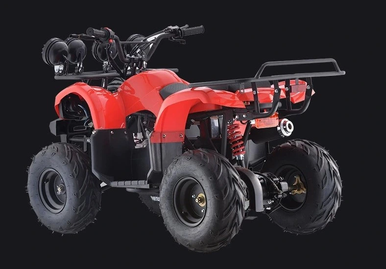 250cc 2 Stroke 800W 80cc Clothing Farmer Gas Powered Gun Rack Hub Motor Mini Petrol Quad for Sale Storage Tire 20X10 10 ATV