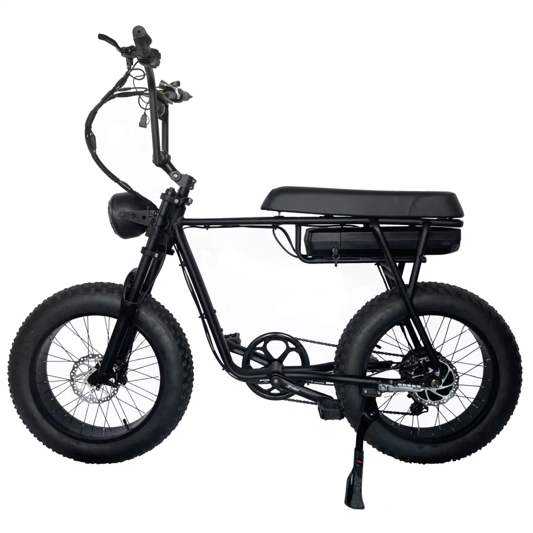 ATV Electric Bicycle 750W 1000W Motor 48V 20inch Fat Tire Long Range E Bike off Road MID Drive Display Motorcycle Hydraulic Brake Electric Bike