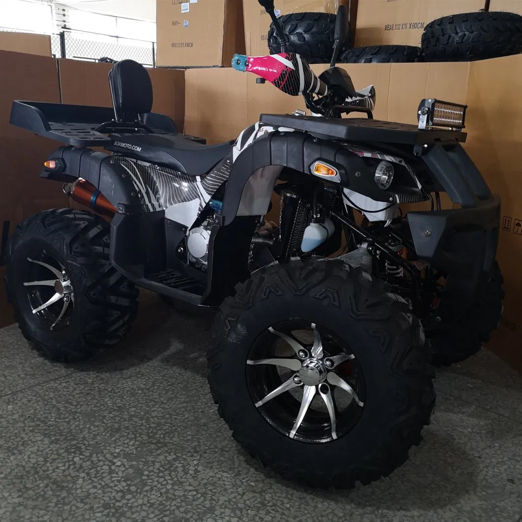 12inch Wide Alloy Wheel 250cc Powerful 4X2 ATV Quad