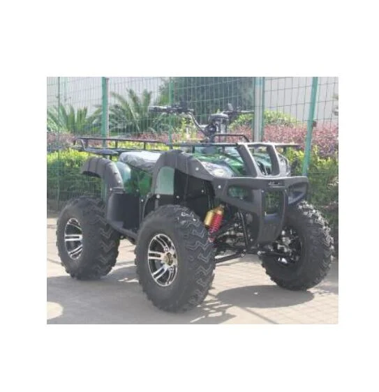 Hot 2000W Electric Adult ATV Quad Bike for Sale