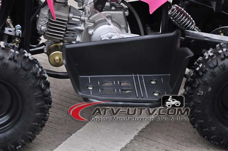 Factory Best Buy 49cc 50cc 60cc 70cc 90cc 110cc 125cc 150cc Kids ATV 250cc Quads