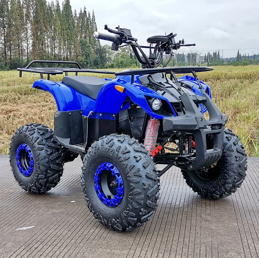 48V 800W 20ah Lead-Acid Youth ATV Electric Quad Bike