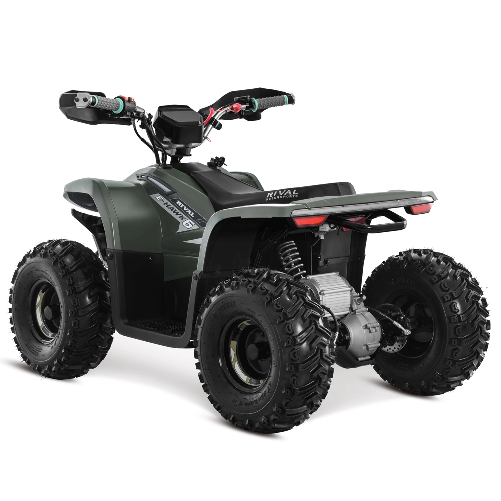 48V 1600W Lithium Battery Powered Kids Electric ATV with APP
