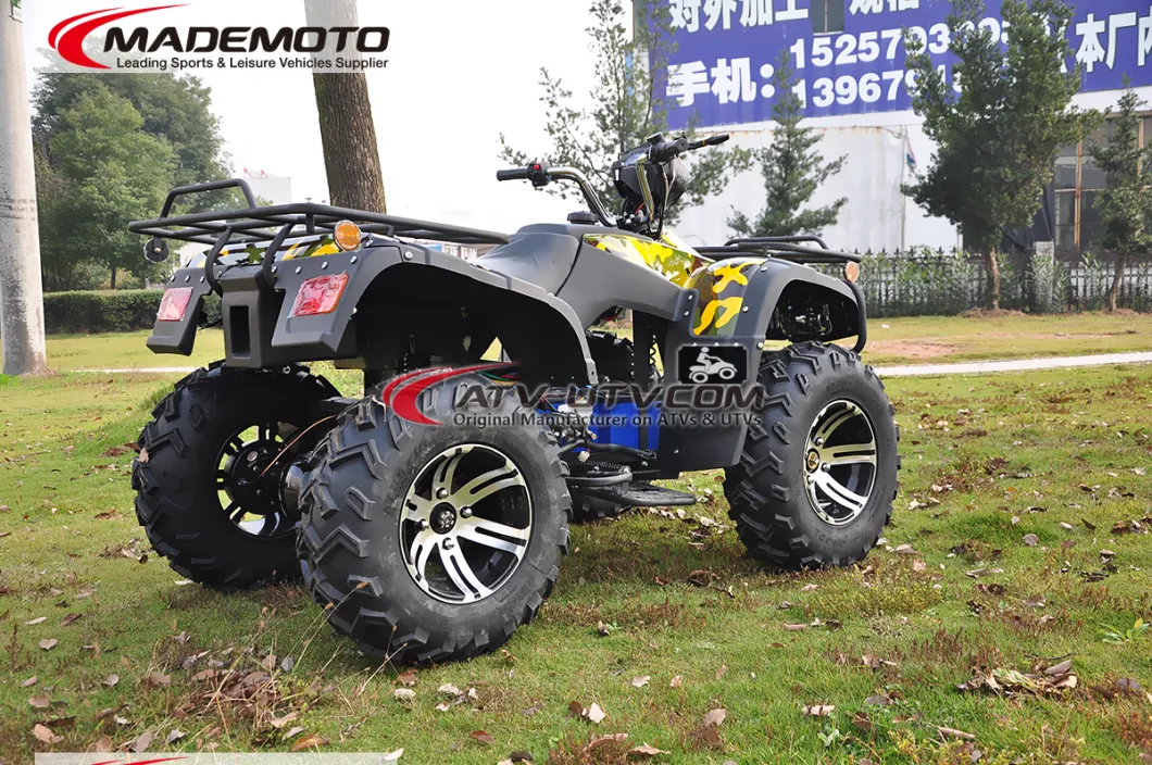 4000W 5000W China Factory Direct Sell Big Size Adult Electric ATV 4X4