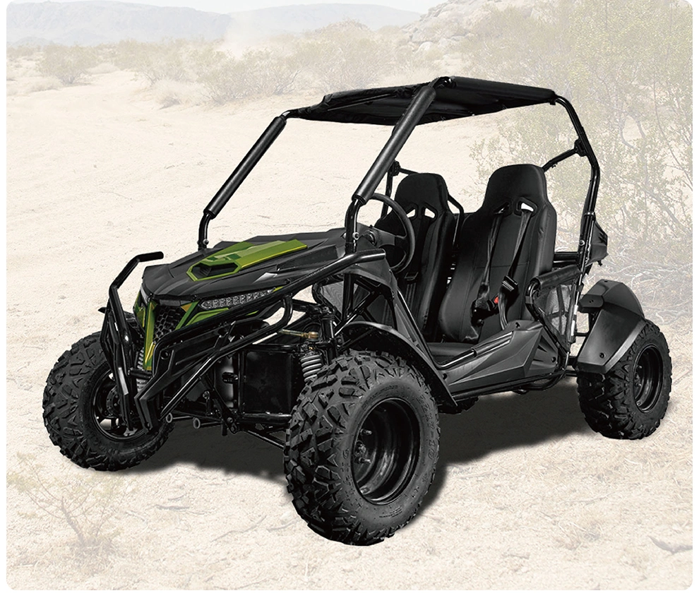 2024 Professional Flexible Reliability Street Legal Dune Buggy for Sale