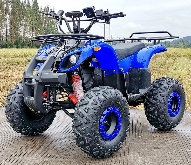 48V 800W 20ah Lead-Acid Youth ATV Electric Quad Bike