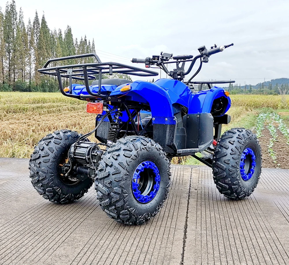 48V 800W 20ah Lead-Acid Youth ATV Electric Quad Bike