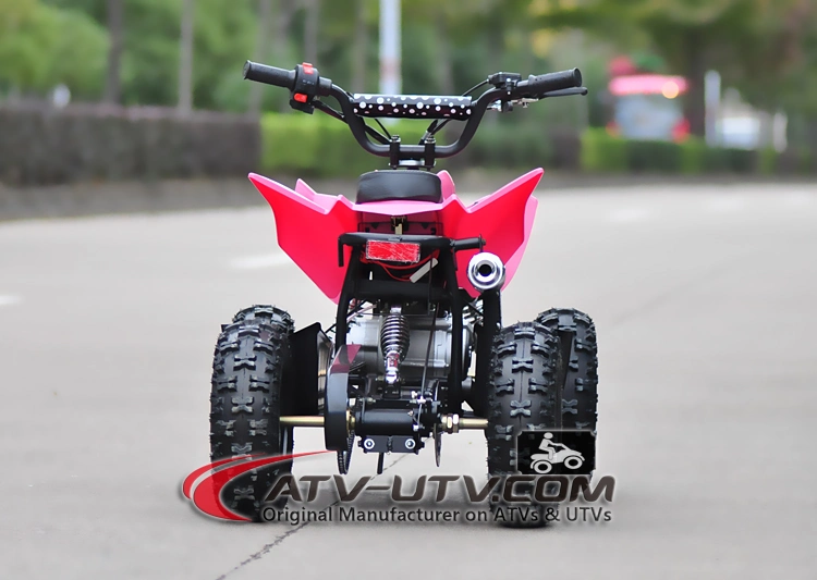 Factory Best Buy 49cc 50cc 60cc 70cc 90cc 110cc 125cc 150cc Kids ATV 250cc Quads