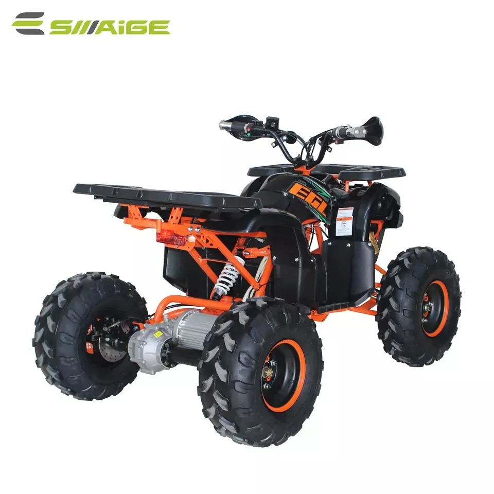 Chinese 3 Wheel off-Road Electric Quad Bike 1200W Electric Atvs Vehicles