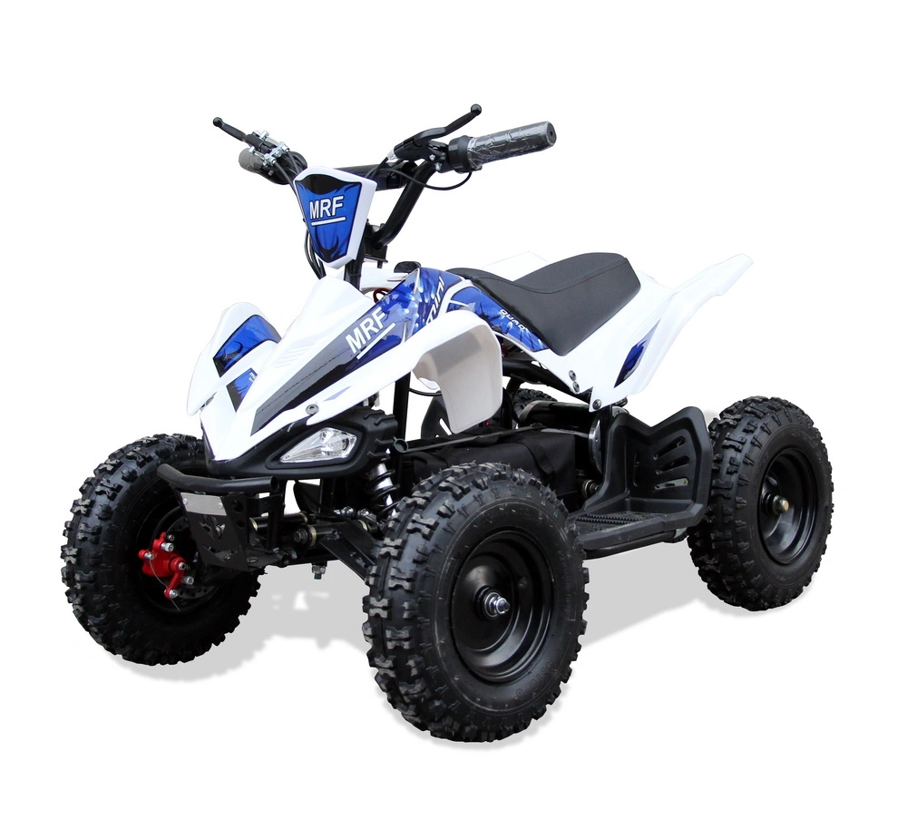 Childer New Style 500W Electric Mini ATV