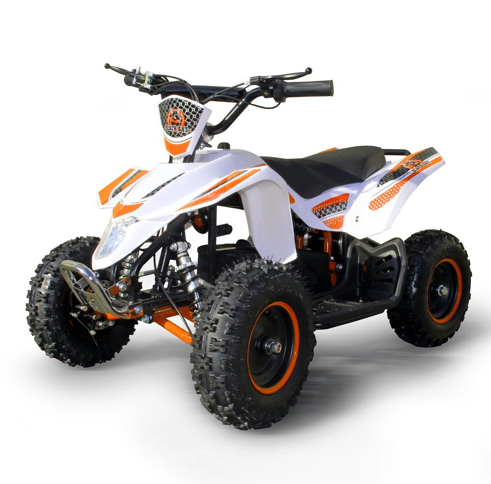 Children&prime;s ATV 800W Shock-Proof 3rd Shift Scenic Quad Bike