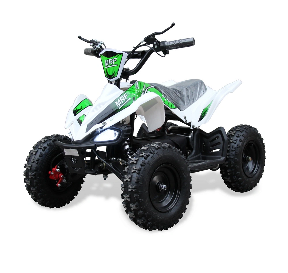 Childer New Style 500W Electric Mini ATV