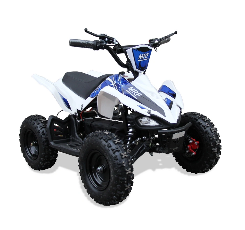 Childer New Style 500W Electric Mini ATV