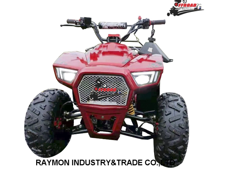 Hot Sale Raymon Factory Direct Four Wheels 110cc 125cc Petrol Mini ATV