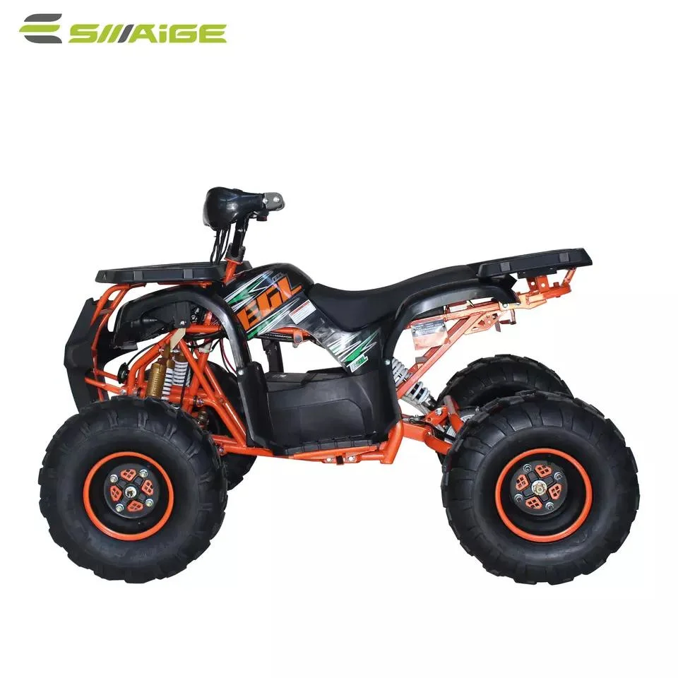 Chinese 3 Wheel off-Road Electric Quad Bike 1200W Electric Atvs Vehicles