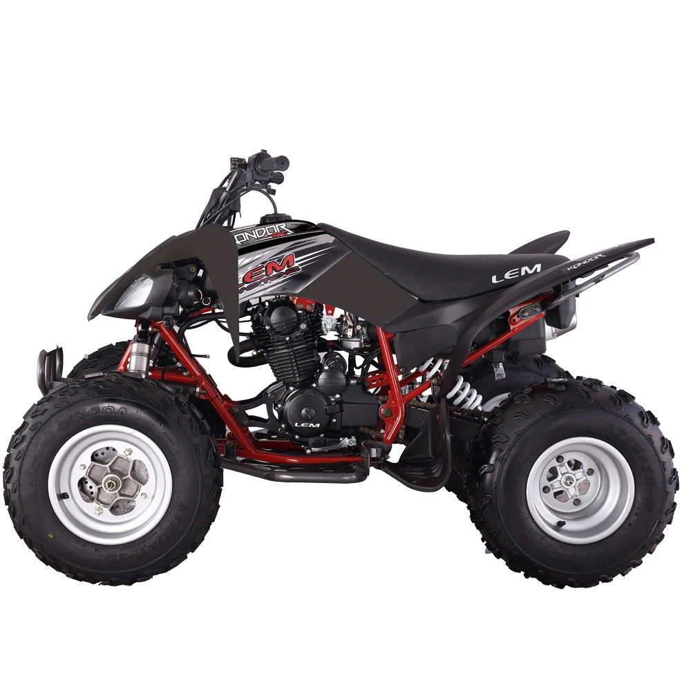 2022 Well Selling Powerful 250cc Quad ATV
