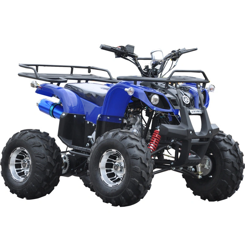 250cc Racing 3 Wheeler for Adults 48V 60cc Amphibious Vehicles ATV