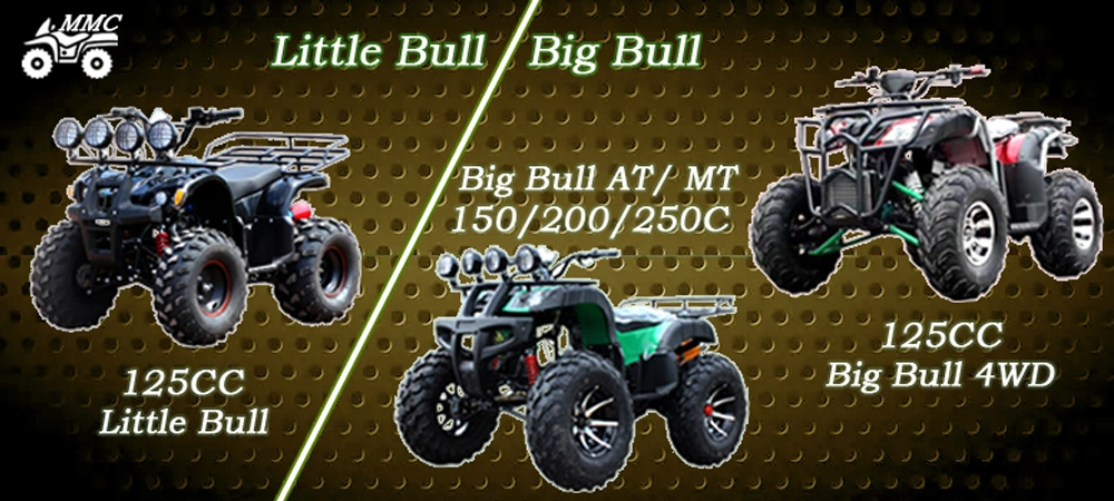 Quad Bike for Adult Popular Atvs with 4 Wheeler ATV 125cc/150cc/200cc/250cc