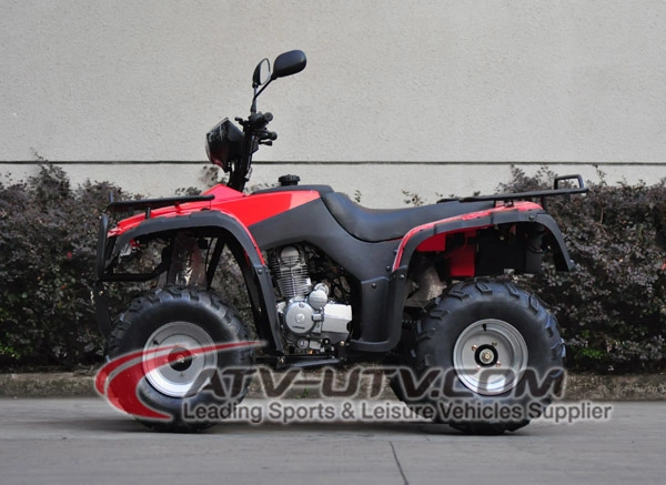 High Quality Factory OEM 200cc 250cc 300cc 400cc 500cc 4X4 Quad Bike Adult ATV