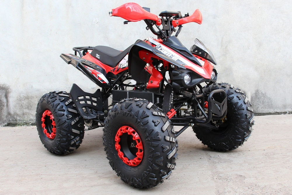 4000W 72V Electric ATV Adults Powerful Electric Quad Bikes for Sale