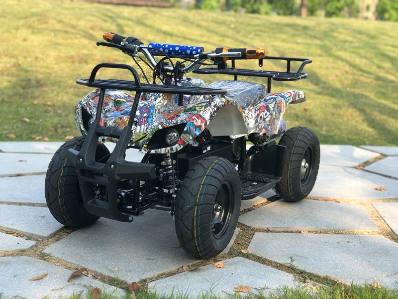 Electric Mini ATV for Kids 500W Quad ATV