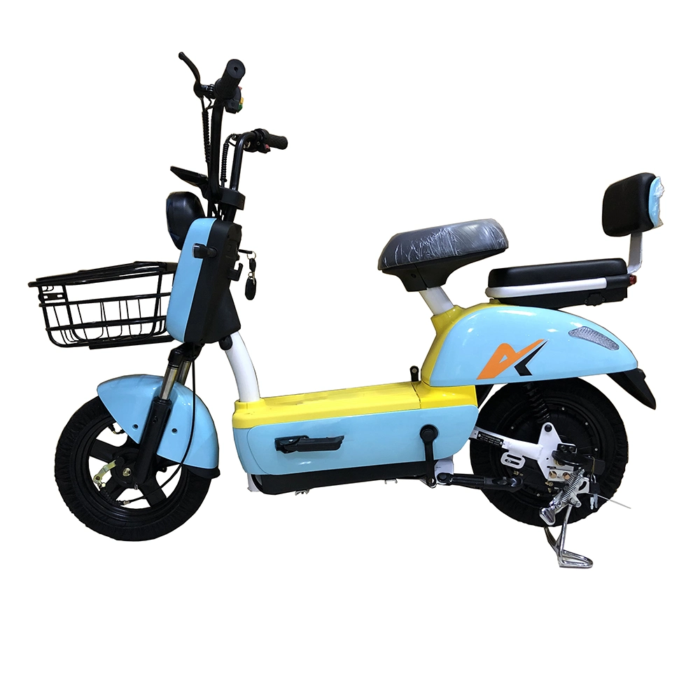 2022 Factory Wholesale Adult Electric Car Electric Bicycle Two-Wheeled Battery Car Double Small Electric Motorcycle