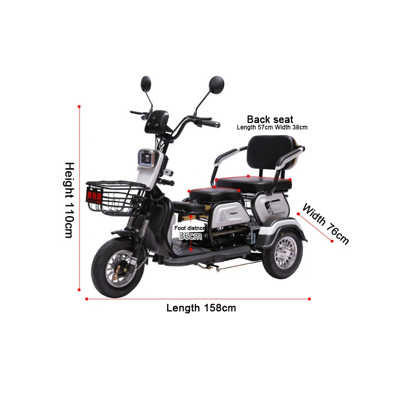 Adult Bike Wheel Cargo Electric Baby Foldable Five Wheeler Plastic Kids Garbage Collection Holland Three Reverse 3 for Tricycle