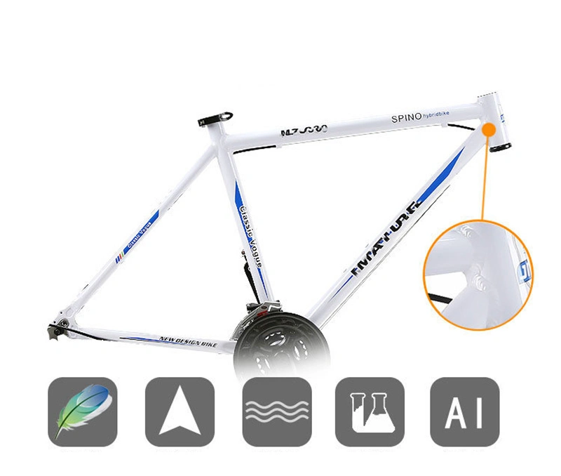 Carbon Frame Steel Disc Quad Alloy Break off-Road E off Saddle Rim Aero Handle Bar Bicycle 700c Road Bike