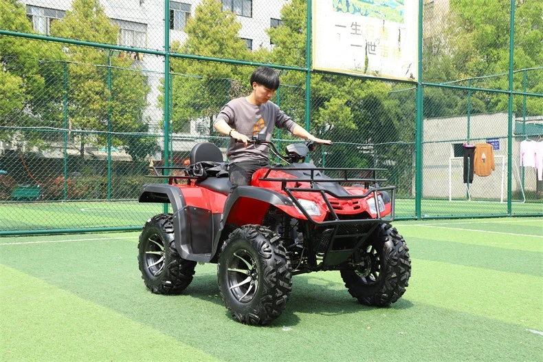 250cc Chinese Small Stator Steering Stereo Suspension Kit Timber Trailer with Crane Tire Changer Tires 22X10 8 Tow Mower ATV