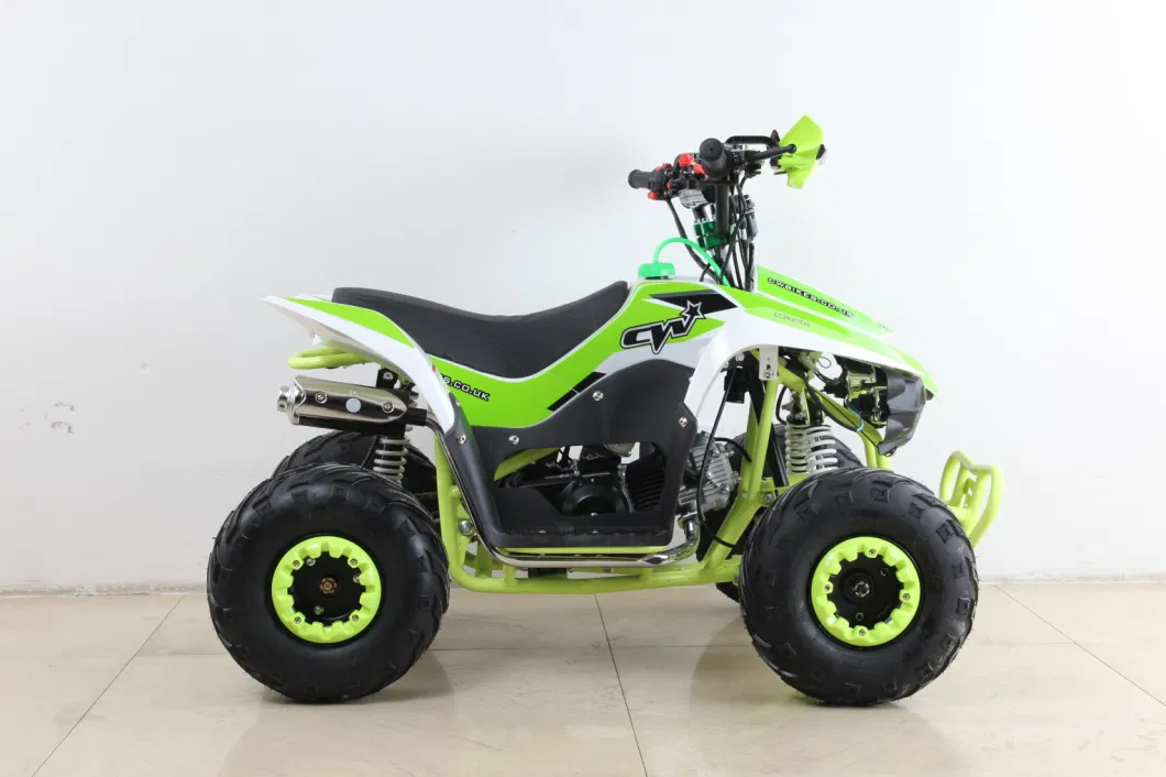 Selling Battery Powered 500W 800W 1000W Mini Kids Electric ATV/ Quad