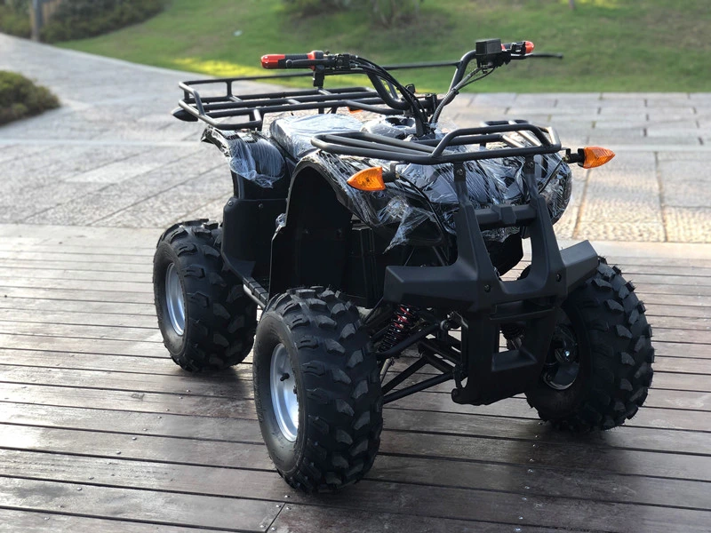 Terrain off-Road ATV 48V750W Electric Quad Bike ATV