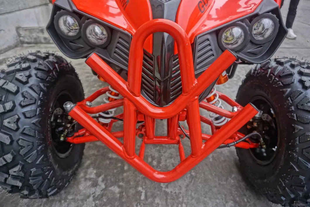 Gas ATV 200cc 250cc 300cc ATV Quad Bike for Adults