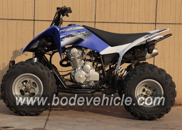 250cc 4 Wheeler Jinling ATV for Adults