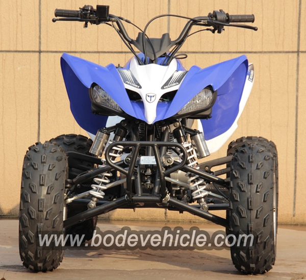 250cc 4 Wheeler Jinling ATV for Adults
