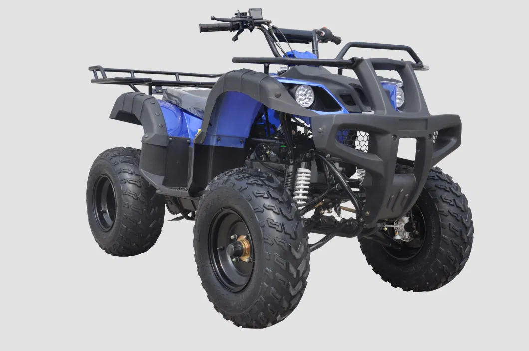 Petrol Engine 200cc Powerful 4X2 ATV Quad