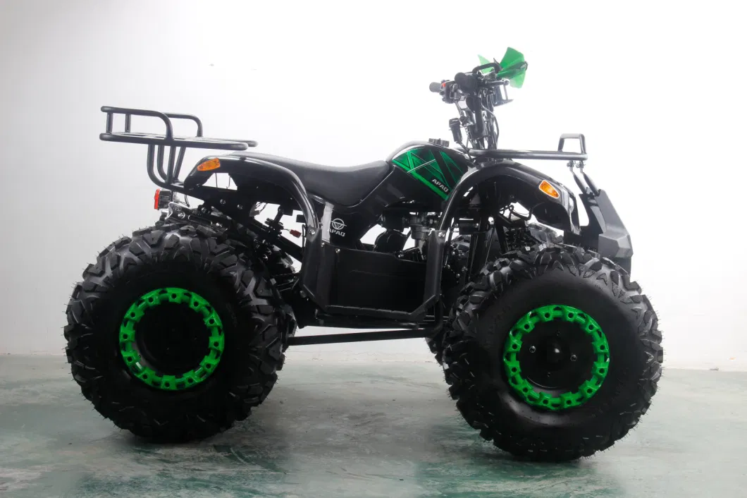 Apq125-5 with CE 125cc Powerful Gasoline ATV Electric Start Quads