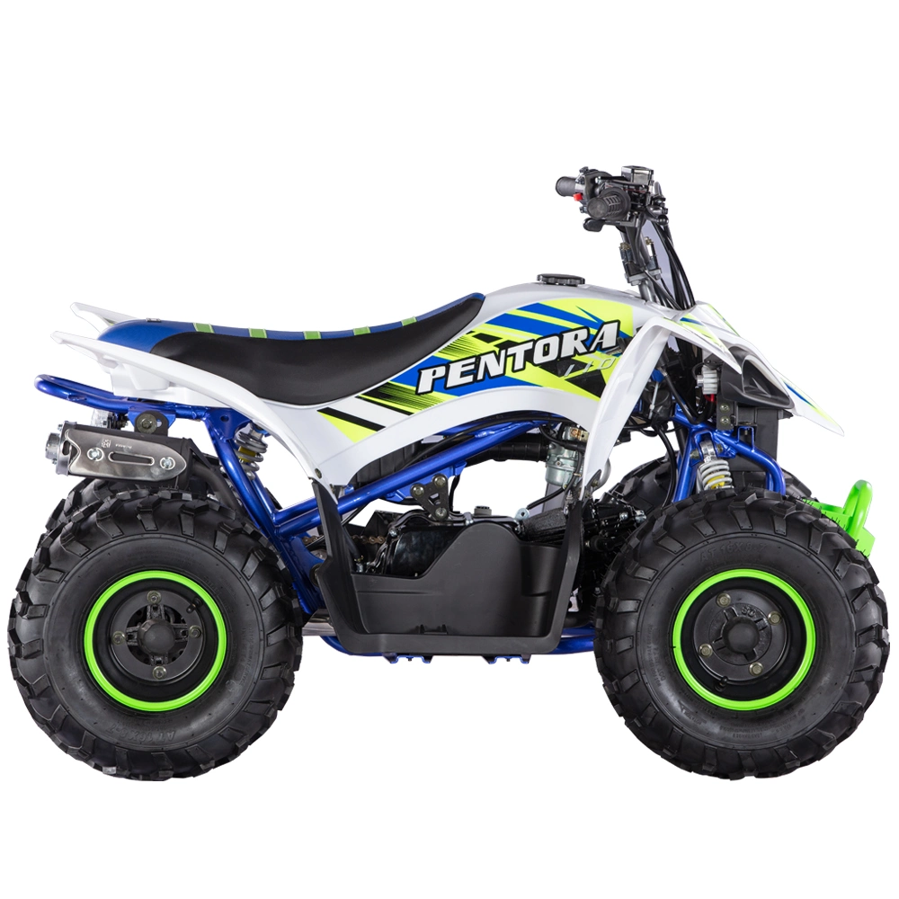 110cc Sport ATV Automatic Wave for Child