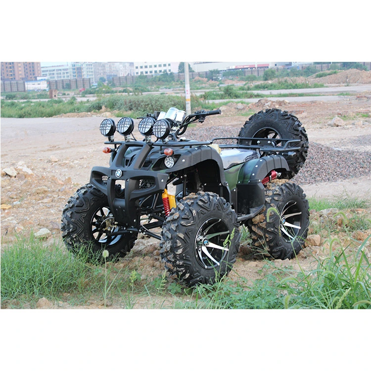Engine 150 300cc Plastic Body Radiator ATV