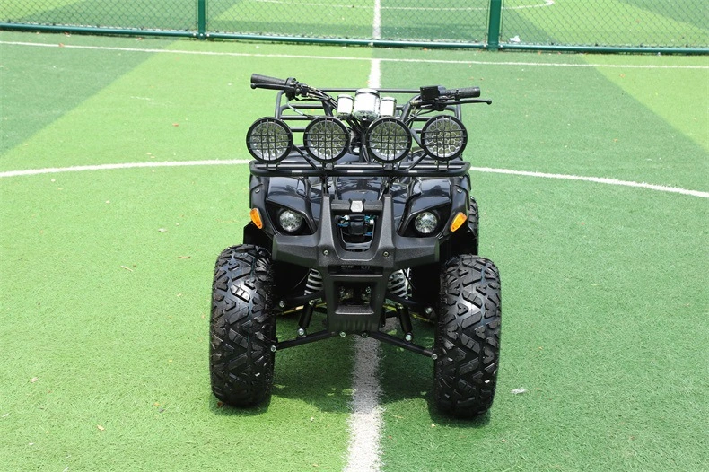 4X4 250cc Quad for 500cc Sale Parts 125cc Trailer 200cc Bike Kids Frame Engine 50cc 1000cc ATV/UTV 400cc off Road 800cc &amp; 4 ATV