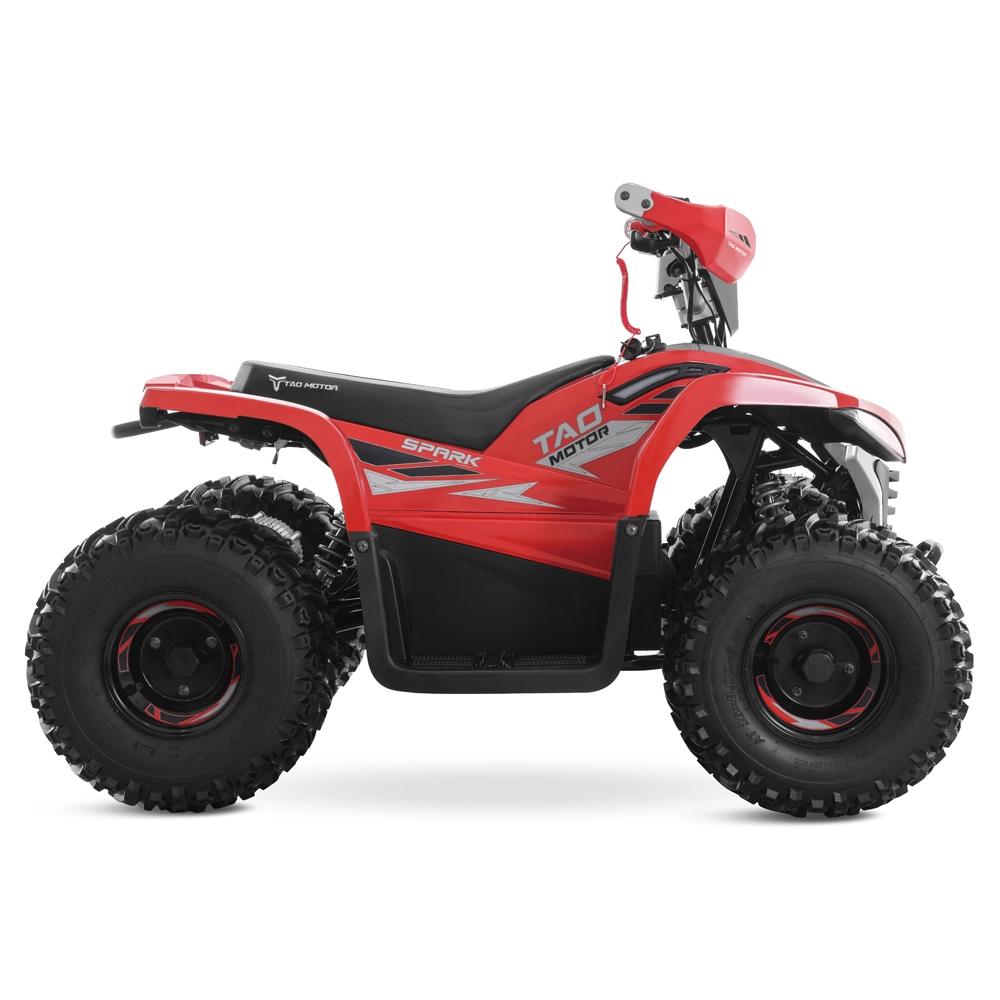 Electric Bike ATV Bike Four Wheeler Atvs Electric Quad