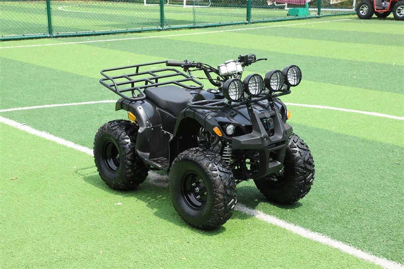 Factory Direct Sales 300cc Farm Quad China 4X4 150cc 49cc Motor for Adults Vehicle 125cc Accessories Import 110cc Timber Trailer Kids 400cc ATV