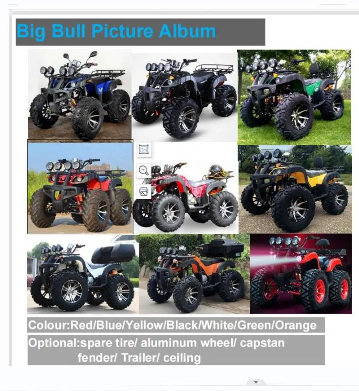 250cc ATV 4X4 Farm Vehicle Utility Vehicle Go Cart Quad