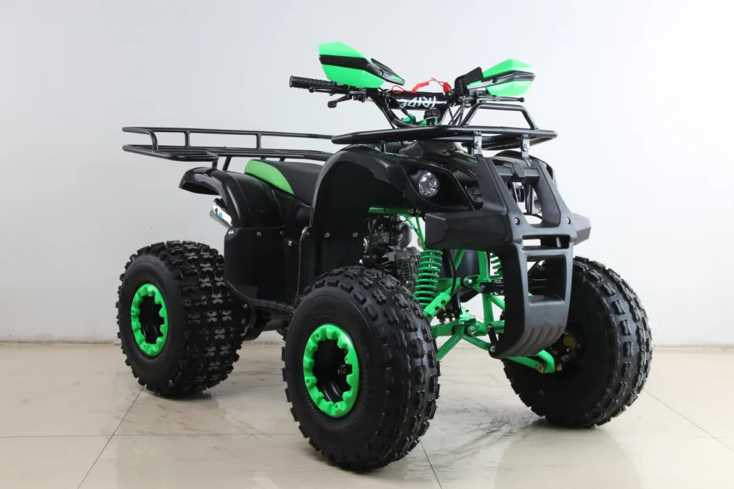 110cc/125cc ATV Quad Bike Hot Sales