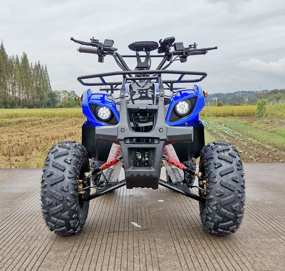 48V 800W 20ah Lead-Acid Youth ATV Electric Quad Bike