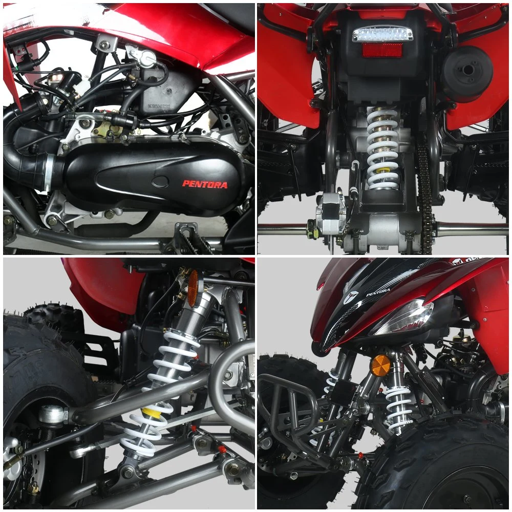 Best Quality Mini Quad Motorcycle 150cc Gasolinefor Sale